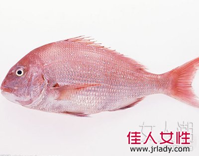 魚類