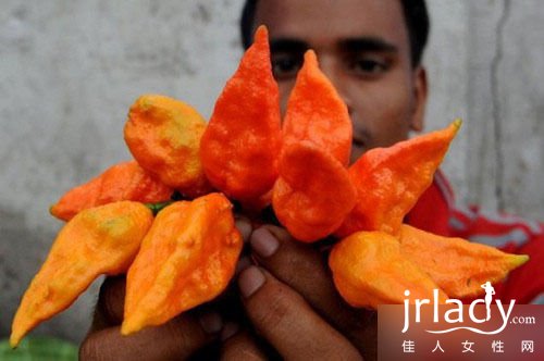 印度斷魂椒被封為“全球最辣辣椒”