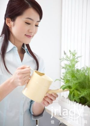 在傢養一盆綠色植物,潤肺又補氣