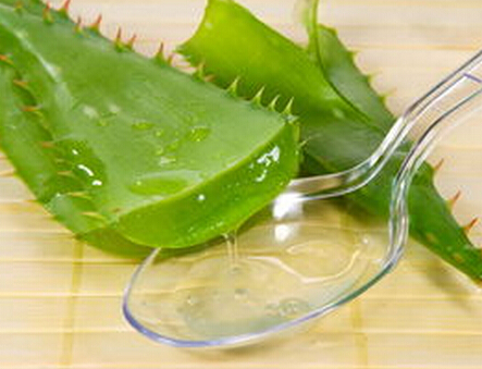 怎麼用蘆薈美容?蘆薈美容的使用方法 怎麼用蘆薈美容?蘆薈美容的使用方法