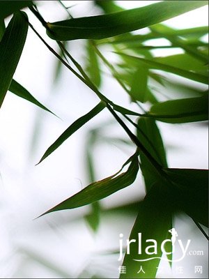 中藥美容DIY 美肌需要低溫呵護