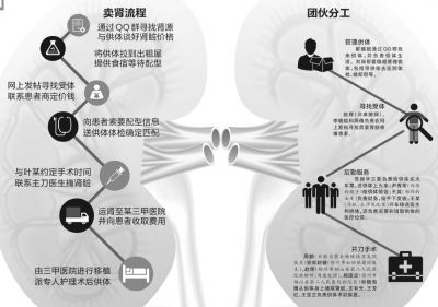 全國最大非法販腎案15人販腎51枚 賣腎流程圖及地點細節曝光