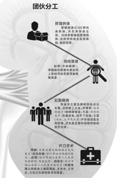 全國最大非法販腎案15人販腎51枚 賣腎流程圖及地點細節曝光