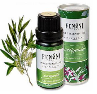 茶樹精油的護膚功效 茶樹精油的護膚功效