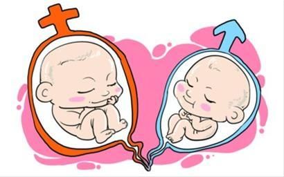 女子雙子宮雙陰道產下雙胞胎 雙子宮雙陰道破處2次實圖有啥危害