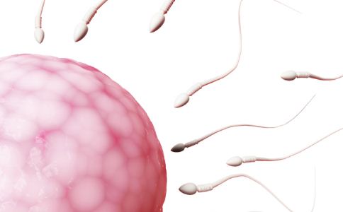 哪些因素影響女人的卵子質量 怎麼提高卵子質量 卵子質量怎麼提高