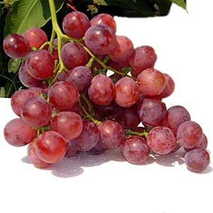 夏季7天葡萄減肥法