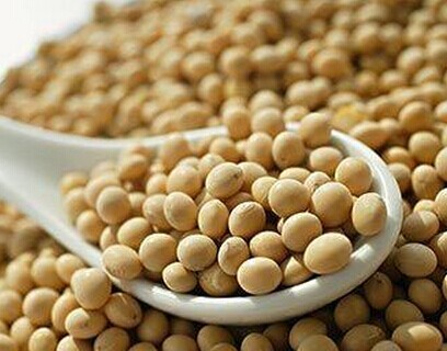 雌激素類食物 子宮保養需註意 4類食物入誤區