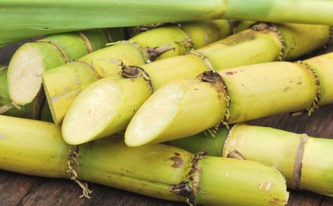 清明甘蔗有毒嗎 清明能吃甘蔗嗎 吃甘蔗有什麼好處