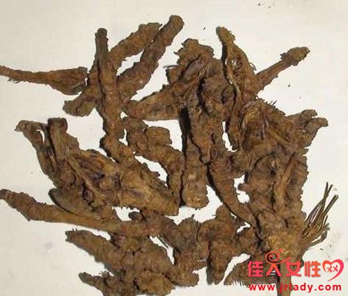 黃連的功效與作用及食用方法和用量 輕松達到瀉火功效