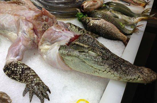 土豪婚宴吃鱷魚現場解剖做菜 鱷魚肉怎麼做好吃多少錢一條