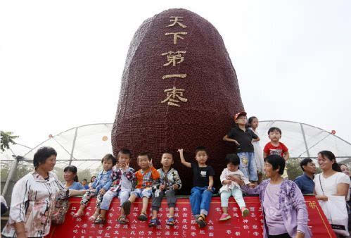 鄭州現天下第一棗高4.6米8萬顆紅棗拼成 紅棗再好4類人也別吃