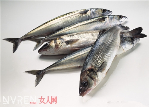 金槍魚功營養是什麼_金槍魚對女性美容減肥有什麼用 它的營養價值有哪些 金槍魚功營養是什麼_金槍魚對女性美容減肥有什麼用 它的營養價值有哪些