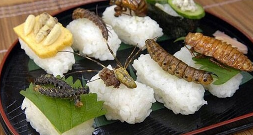 日本吃蟲俱樂部鉆研蟲子新吃法 重口味昆蟲盛宴哪些蟲子能吃