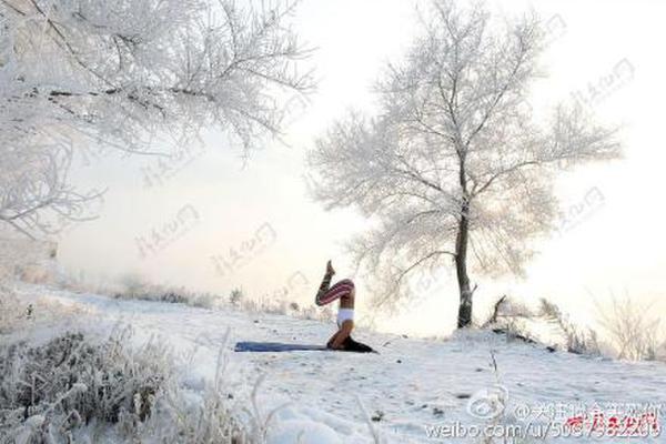 美女穿背心零下30度冰雪瑜伽美成畫 瑜伽視頻教程初級全套下載