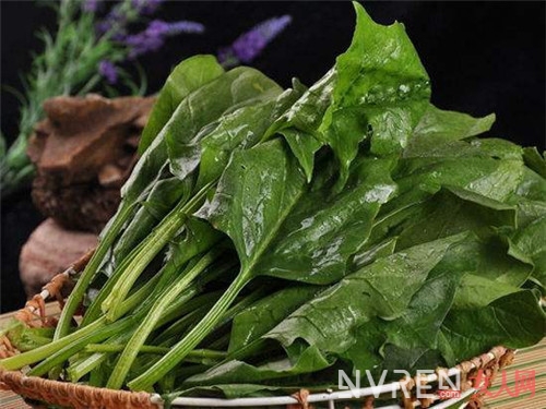 女人吃菠菜有什麼好處_女人吃什麼比較好 10種食物既美容又補氣養血