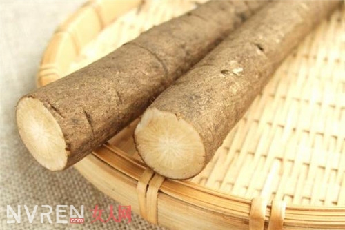 牛蒡品種有幾種_牛蒡食用方式是什麼 能抗衰老嗎 牛蒡品種有幾種_牛蒡食用方式是什麼 能抗衰老嗎