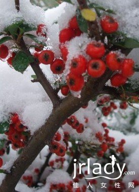 小雪節氣中醫提醒:要註意防范三類病