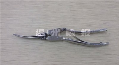 中學女生發明剝蝦神器專治皮皮蝦 生蝦蛄怎麼剝